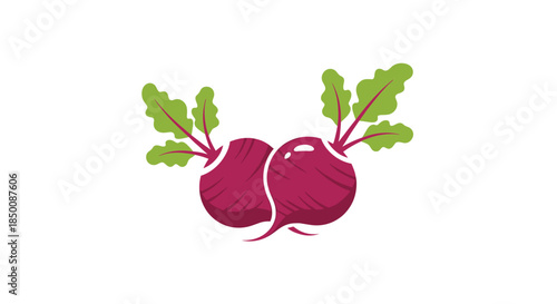 Illustration of two fresh whole beets with their vibrant green leaves attached and visible stems in a clean and simple graphic style.