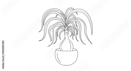 Detailed line drawing of a ponytail palm houseplant in a minimalist pot, ideal for interior design illustrations and gardening content.