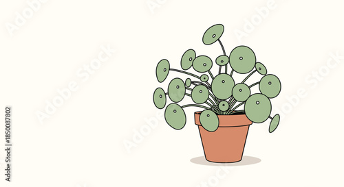 Simple and modern illustration of a pilea peperomioides or pancake plant in a terracotta pot on a clean light background.