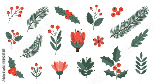 Collection of winter-themed botanical elements including evergreen pine branches, holly berries, and red seasonal flowers.