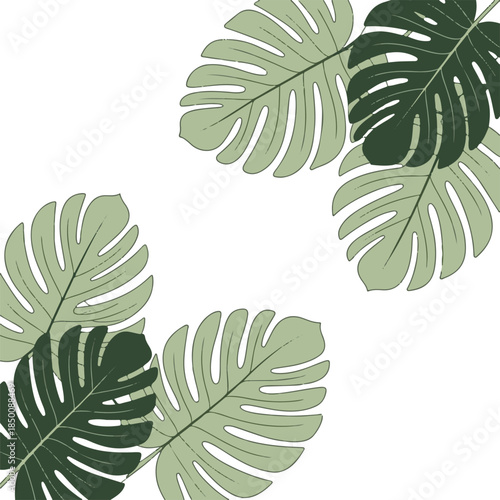 Minimalist Tropical Monstera Leaves Vector Background with Copy Space