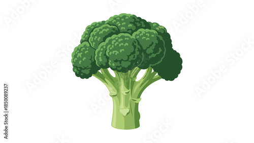 Fresh broccoli head with vibrant green florets stands out as a healthy and nutritious vegetable option for a balanced diet.