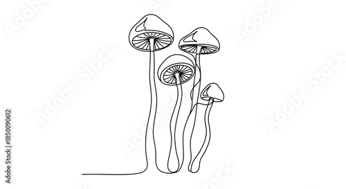 Continuous line drawing of four minimalist mushrooms in a simple artistic style Vector