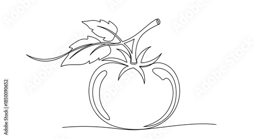 Continuous line drawing of a fresh tomato with leaves and a stem on a white background. Vector