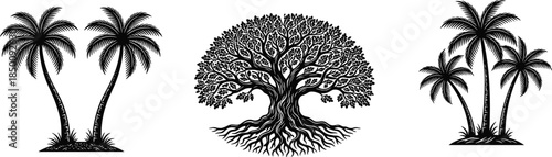 Black tree silhouettes, tropical palm trees, banyan tree, nature illustration, vector style, isolated on white background, botanical design