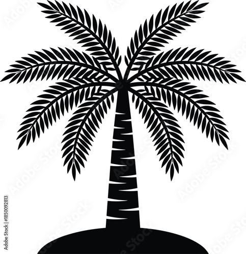 Palm tree silhouette with detailed leaves isolated on white background, tropical nature black vector illustration design