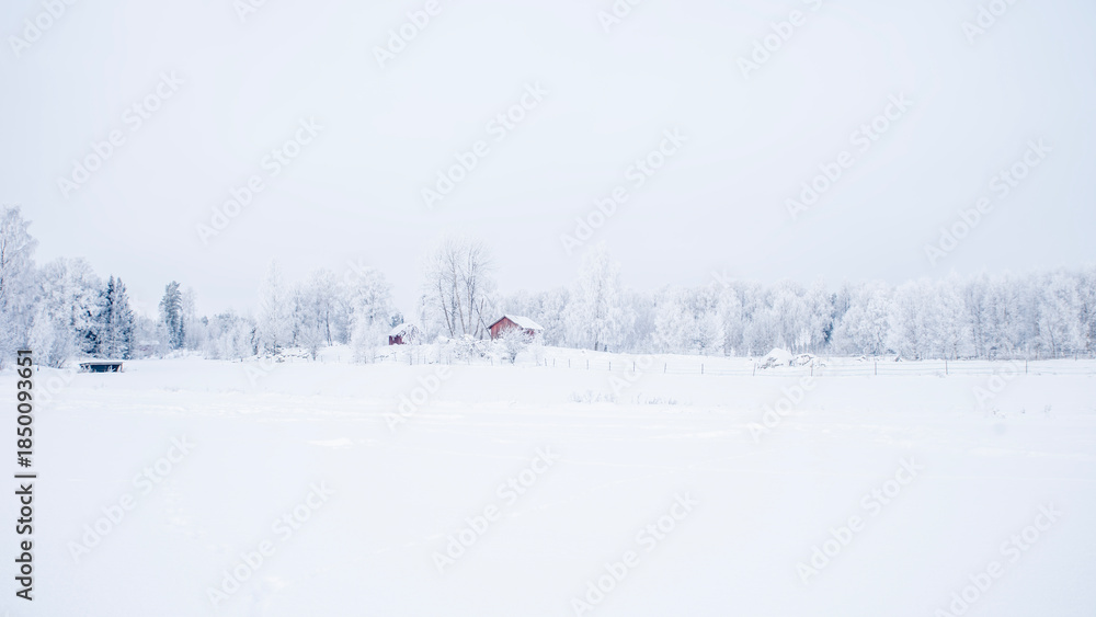 Fototapeta premium Farm bran and house in a cold winter landscape with snow and frost in christmas time