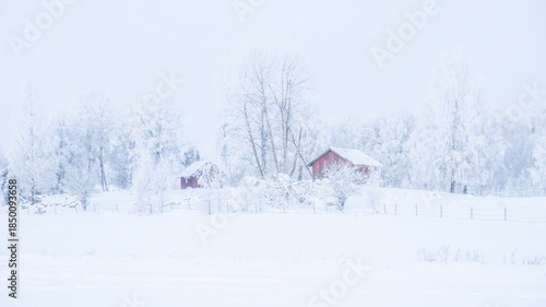 Farm bran  and house in a cold winter landscape with snow and frost in christmas time