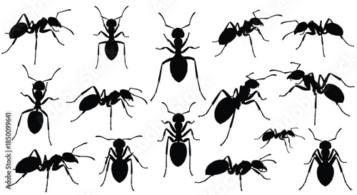 Ant silhouettes scattered across a white background showing numerous ants in different poses and directions across a stark white background.