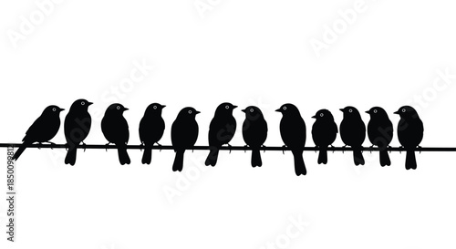 Birds perch along a thin wire forming a long line of black silhouettes against a bright sky creating a minimalist natural scene with repeated shapes.