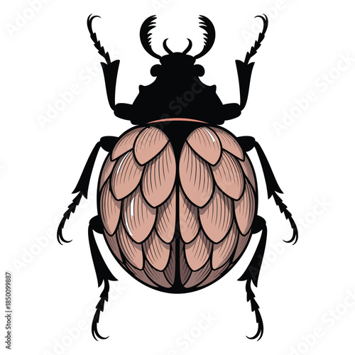 Stylized illustration of a beetle with textured wings isolated on