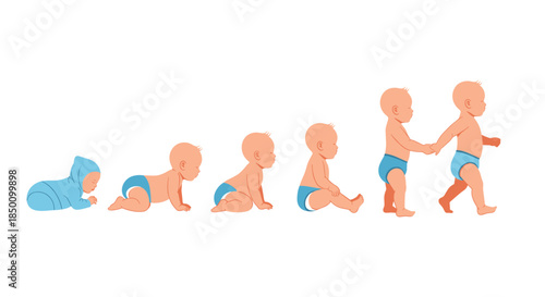Baby development timeline showing a progression from newborn on the belly to crawling to sitting and finally standing with support as siblings share a moment.