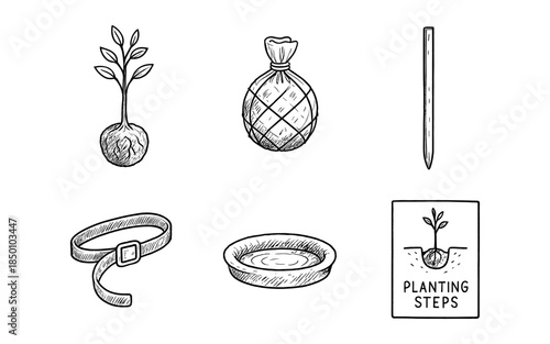 Hand drawn seedling and gardening tools with planting instructions