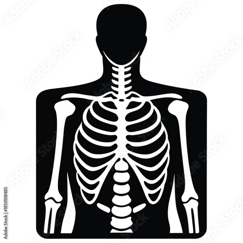 vector illustration of a x ray scan on white background