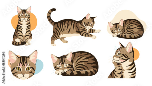 Set of six brown tabby cat illustrations in different adorable poses, including sleeping, playing, sitting, and a cute headshot.