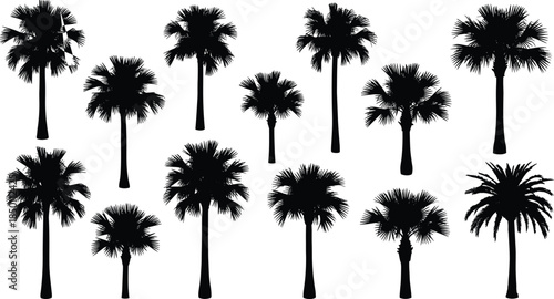 Palm tree silhouette, tropical design, black shape, botanical art, exotic plant, summer icon, nature element, beach vibe, island mood, foliage