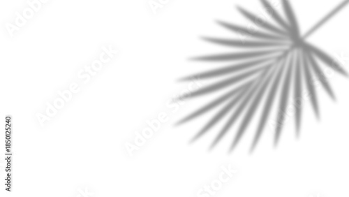 Realistic palm leaves shadow with overlay effect summer decoration element vector art. Gray and white elegant tropical coconut leaf and branches blur shadow background. Vector illustration.