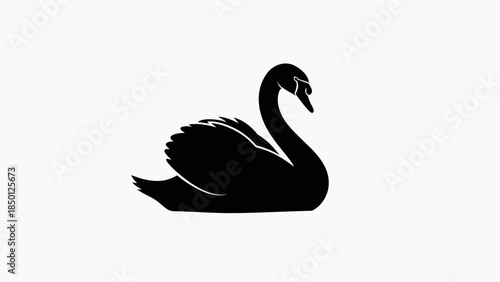 Black swan silhouette on a white background.