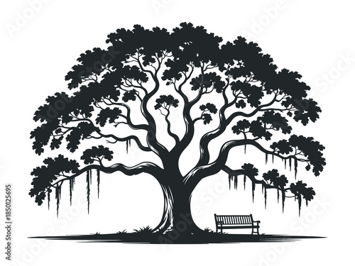 Large sprawling tree with hanging vines and a solitary bench beneath its branches