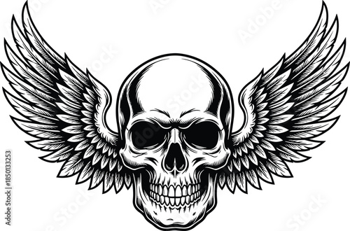 Black and white winged skull illustration with detailed feathers and shading Keywords: skull, wings, flying, death, danger, gothic