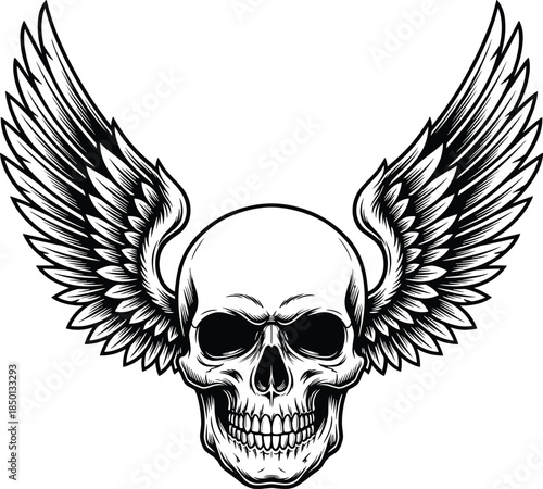 Bold black and white drawing of a winged skull with expressive shading and detail Keywords: skull, wings, flying, death, danger