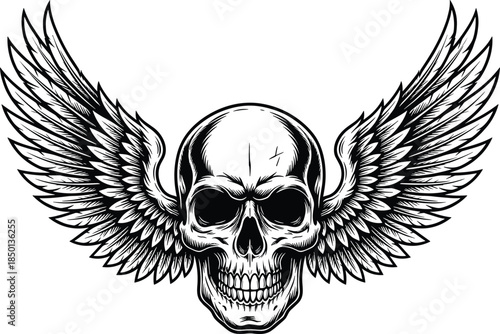 Detailed black and white illustration of a human skull with outstretched feathered wings Keywords: skull, wings, flying, death
