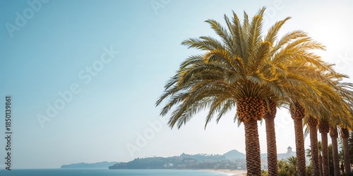 Fototapeta Naklejka Na Ścianę i Meble -  Garden with visible palm tree bark highlighting organic plant materials