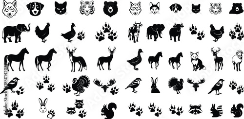 Black silhouette collection of animal vectors, including farm, wild, and domesticated species and footprints