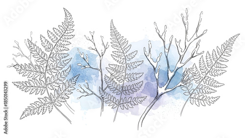 Watercolor fern leaves illustration with blue background