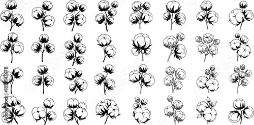 Botanical cotton plant flower seamless pattern in with various stem designs