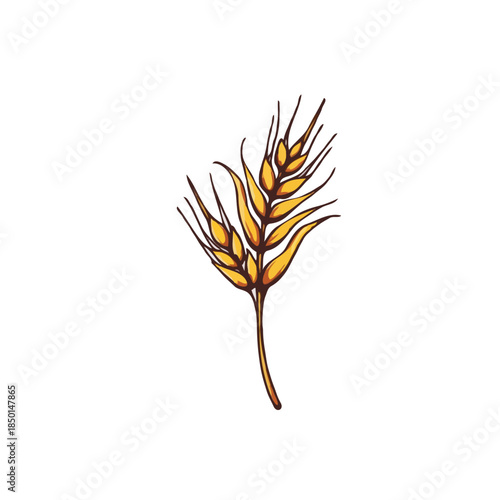 Golden wheat illustration: Depicting harvest season with three wheat stalks creating simple
