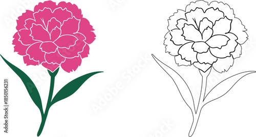 Illustrated comparison of a pink flower Vector