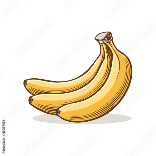 Sketch style bananas illustration representing healthy snack tropical fruit dessert, isolated on white, detailed organic food clipart