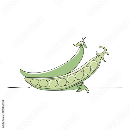 Elegant Line Art of Two Fresh Green Peas in Pods Illustration