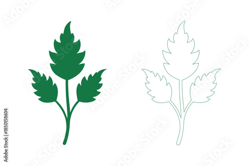 Two leaves, one green, one white Vector