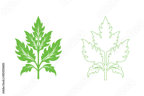 Two maple leaves in different styles Vector
