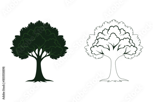 Two trees side by side Vector