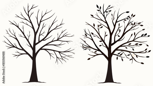 Seasonal Change Tree Transformation Growth Cycle Spring to Winter Bare Branches Budding Leaves Nature Metaphor for Business Development and Renewal