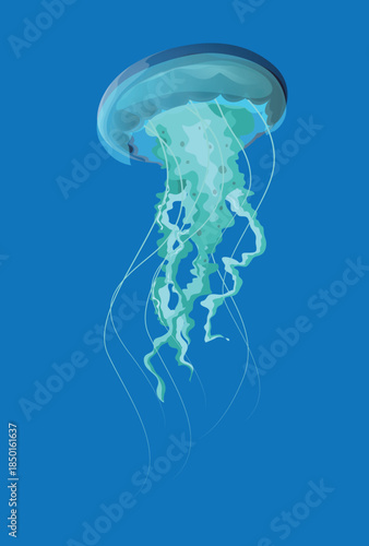 jellyfish in the blue water