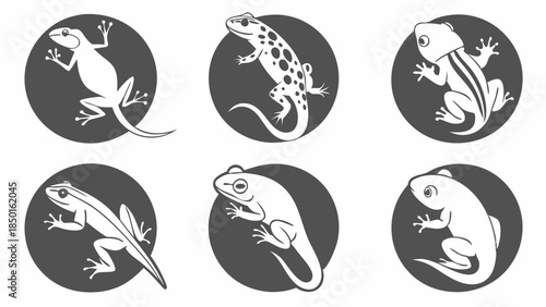 Diverse Amphibians and Reptiles Collection for Educational Websites, Children's Books, Wildlife Design Projects, Science Content, and Nature Graphics