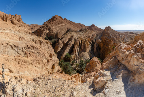 Chebika Oasis in Tunisia