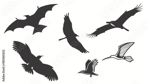 Flying Creatures Silhouette Vector Set Prehistoric Dinosaurs and Modern Birds Wildlife Nature Graphic Design Elements Freedom Power Evolution