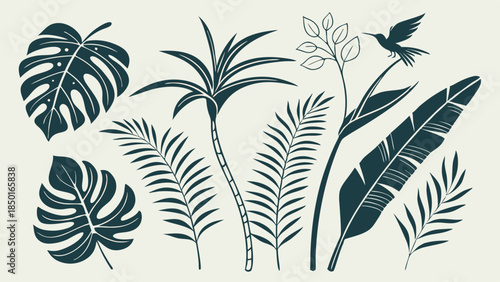 Exotic Tropical Leaves, Palm Fronds, and Hummingbird Vector Set. Lush Botanical Jungle Foliage for Summer Design, Web Backgrounds, Travel Branding, and Resort Decor.