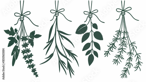 Hanging Fresh Culinary Herb Bundles Vector Illustration Organic Kitchen Decor Food Blog Design Natural Product Branding Healthy Cooking