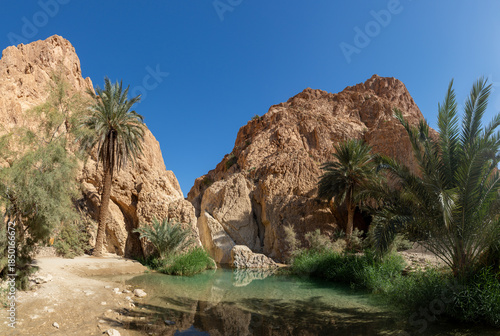 Chebika Oasis in Tunisia