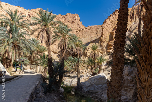 Chebika Oasis in Tunisia