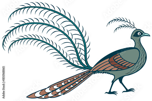 Detailed lyrebird bird line drawing vector on white background