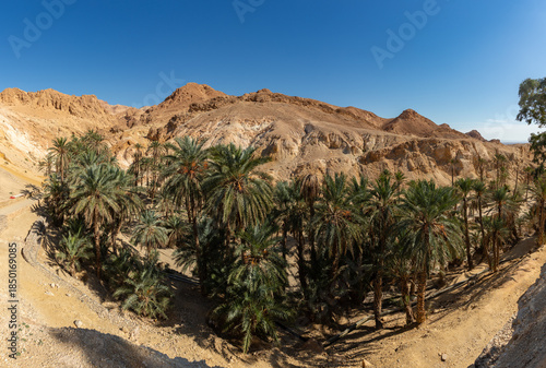 Chebika Oasis in Tunisia