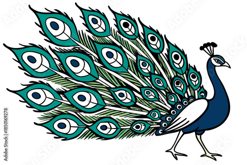Peacock Bird With Colorful Feathers Vector Illustration On White Background