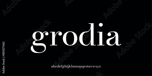 Vector illustration of an elegant serif style alphabet letter display with a natural and classic touch.